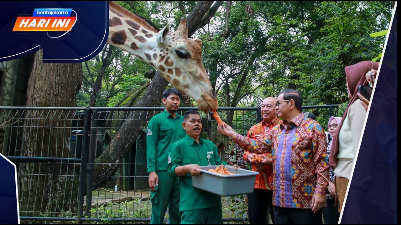 Beritajakarta Hari Ini: Pramono Bakal Buka Safari Malam di Ragunan, Harga Khusus Untuk Warga Jakarta
