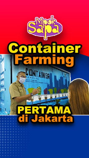 Container Farming Pertama di Jakarta